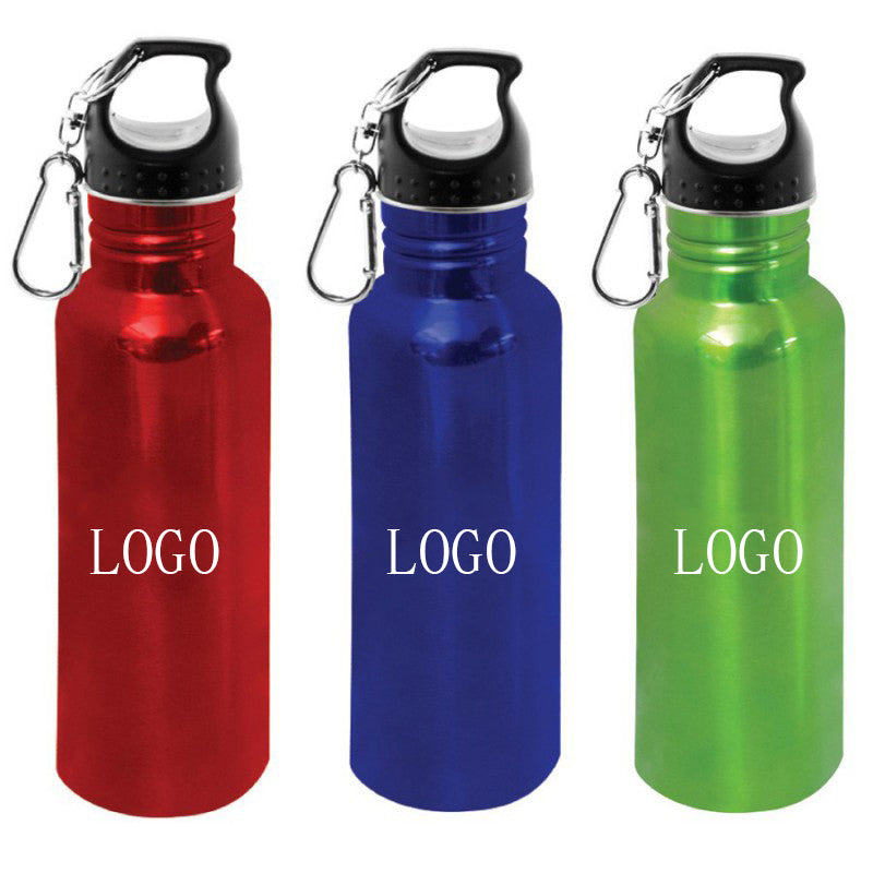 17 oz Stainless Steel Water Bottle with Carabiner