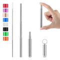 Collapsible Stainless Steel Straw Kit